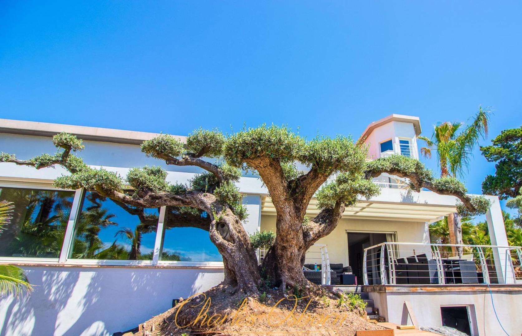 Mahana Villa *
